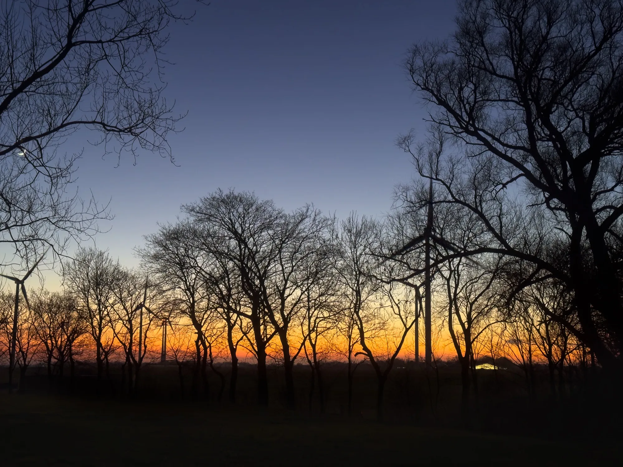 Winterlicher Sonnenuntergang in Bassens