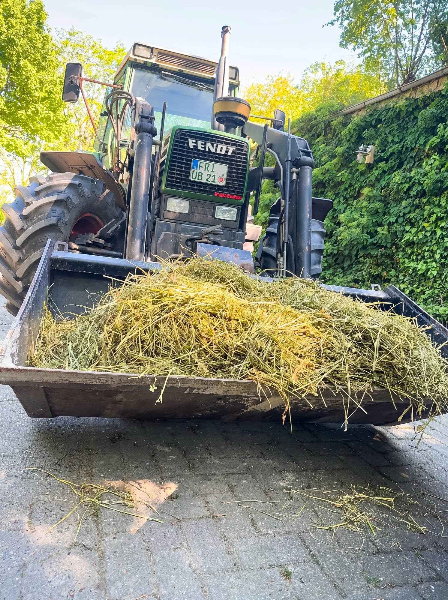 Traktor mit einer Ladung frischem Heu in der Frontschaufel