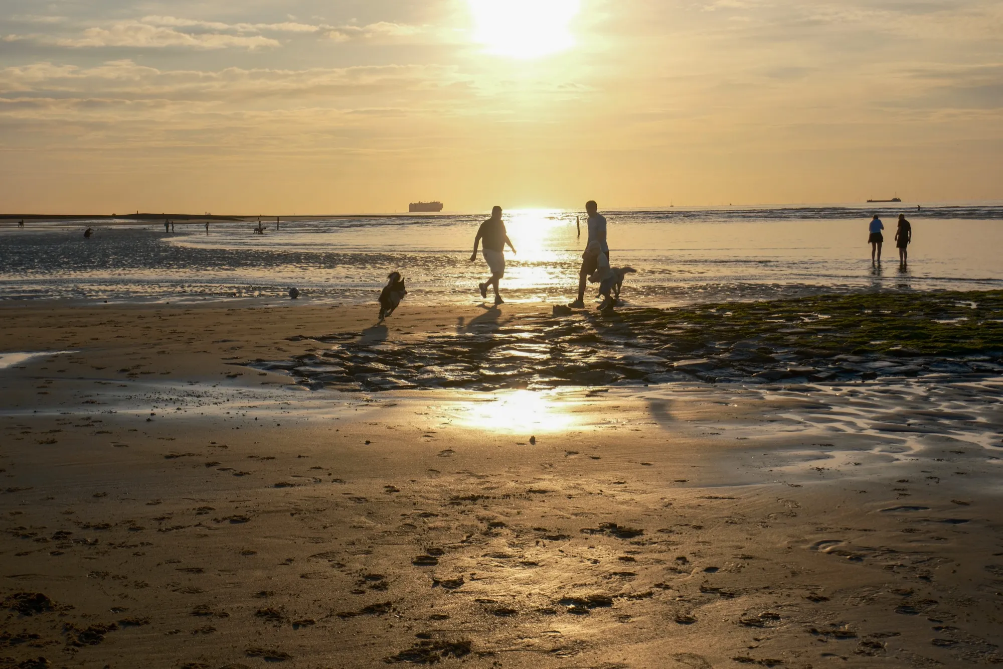 Wattwanderung im Wattenmeer bei Ebbe